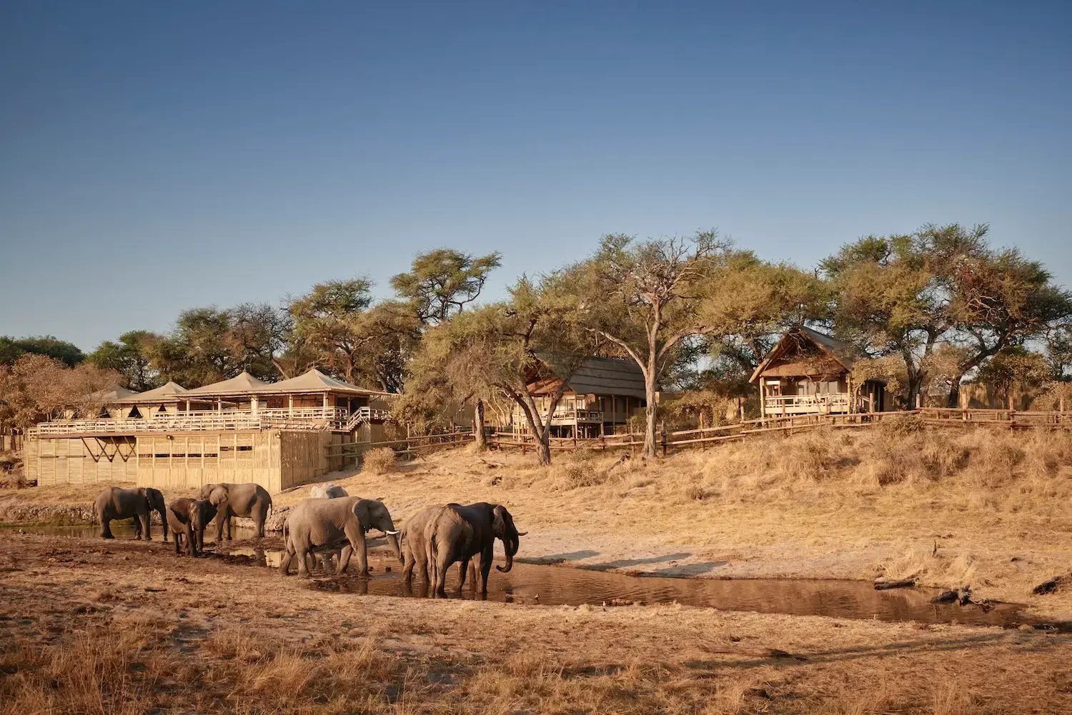 Belmond Elephant Savute Lodge — Chobe National Park, Botswana
