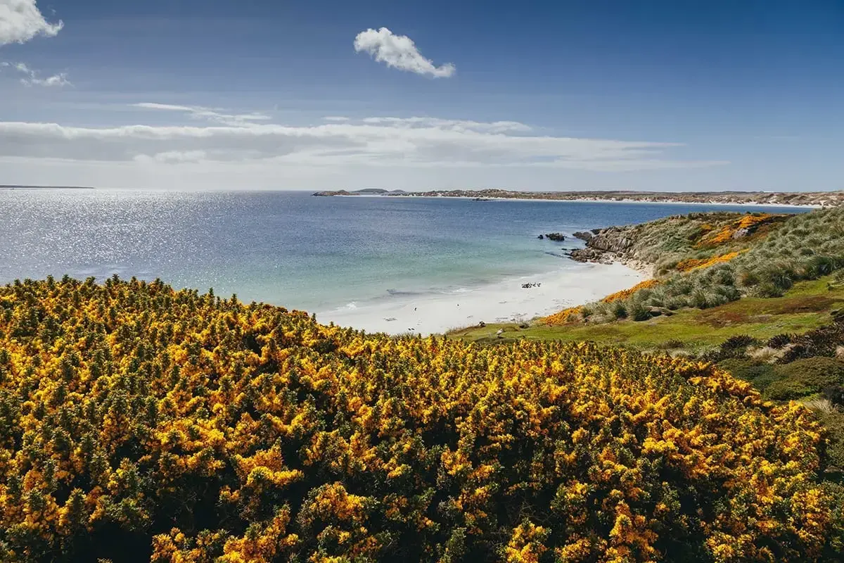 Falklandské ostrovy — Quark Expeditions