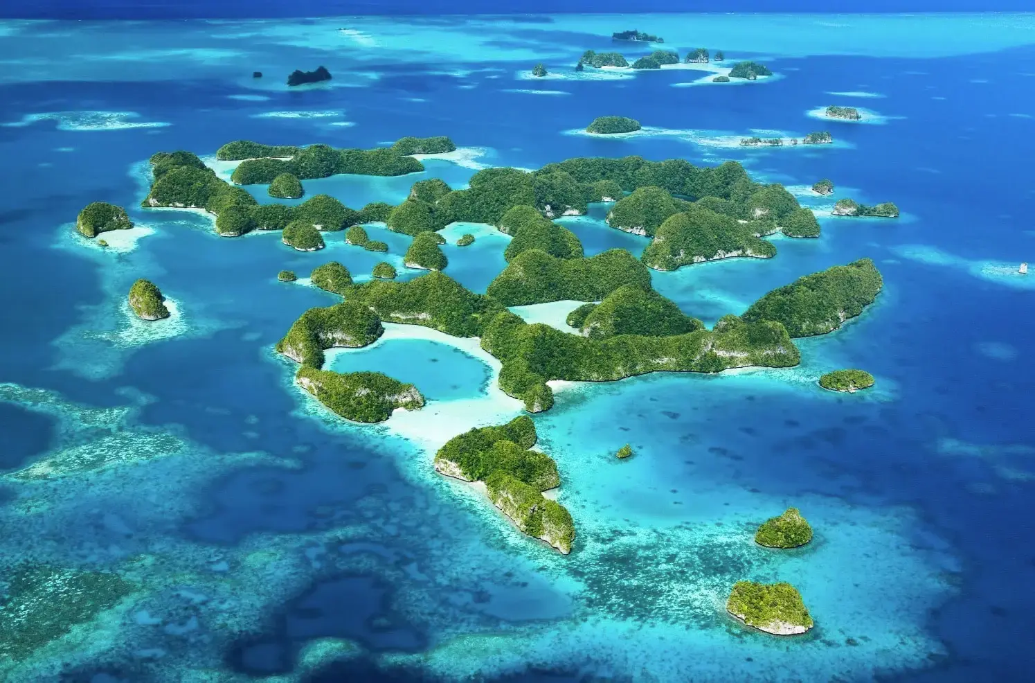 Four Seasons Cruise — Palau