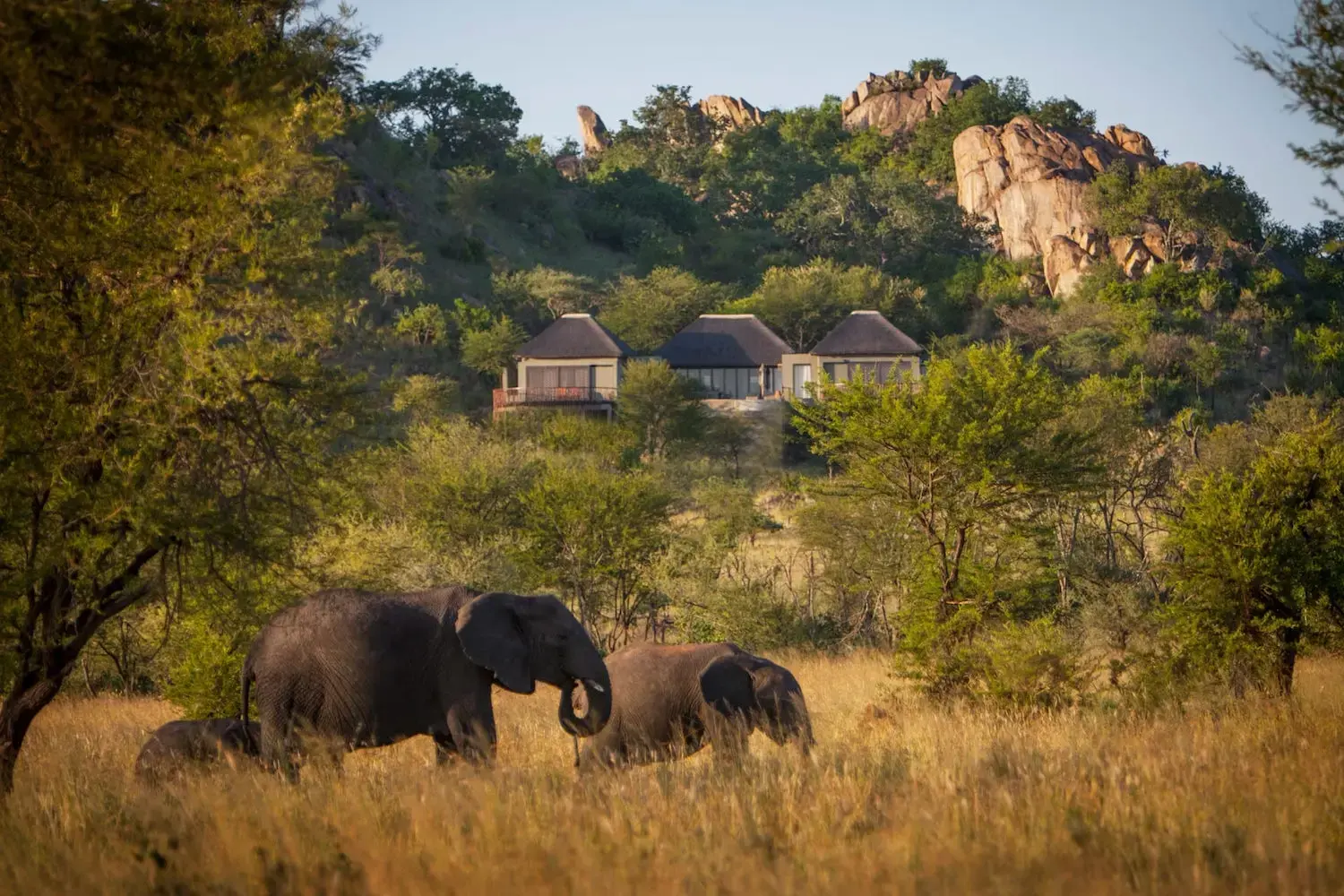Four Seasons Safari Lodge Serengeti — Serengeti National Park, Tanzánia