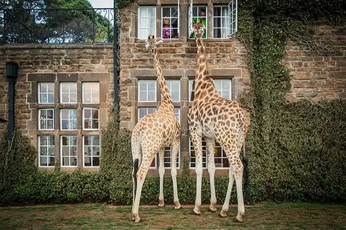 Giraffe Manor — Nairobi, Keňa