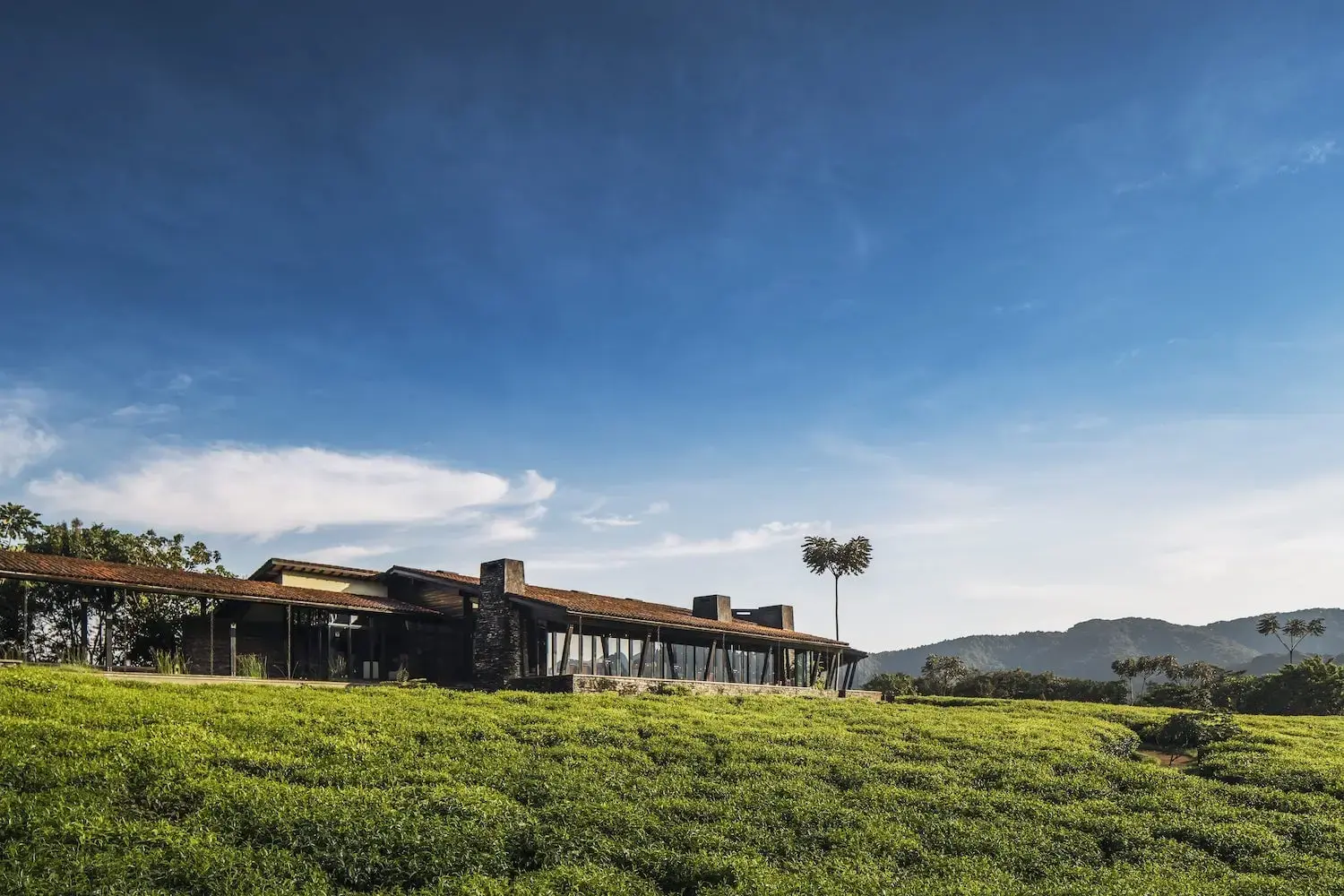 One&Only Nyungwe House — Nyungwe Forest National Park, Rwanda