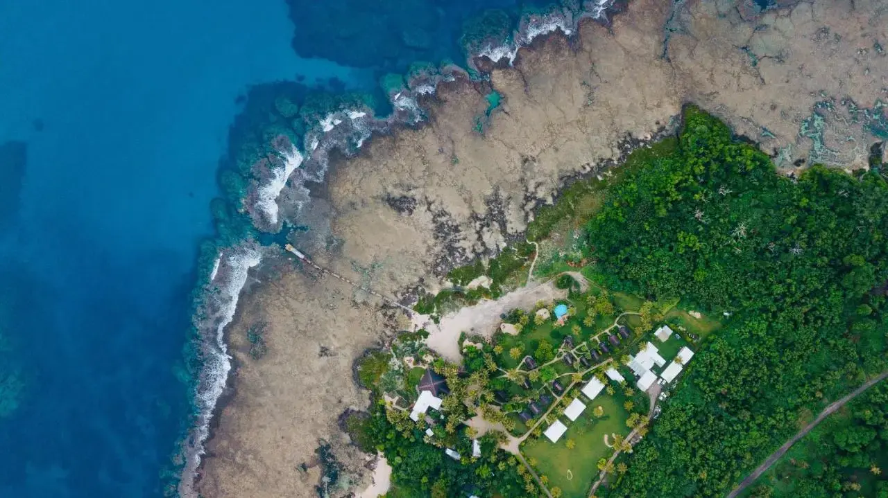 White Grass — Tanna Island, Vanuatu