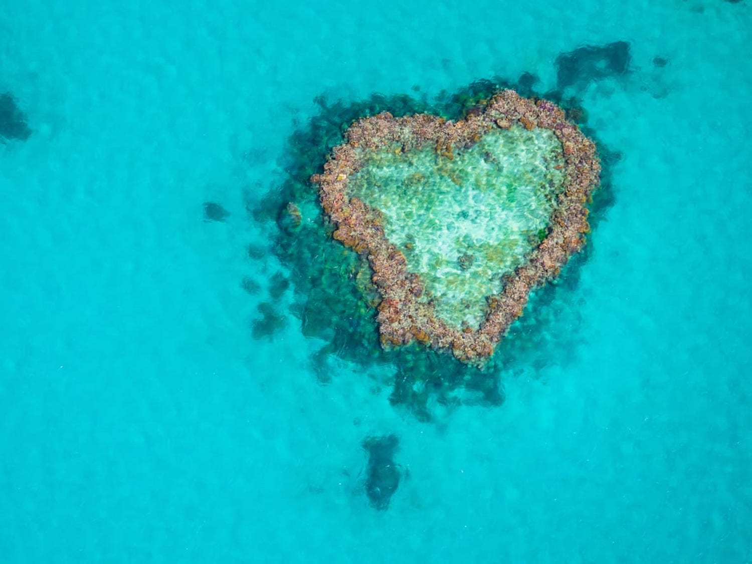 Heart Reef (2)