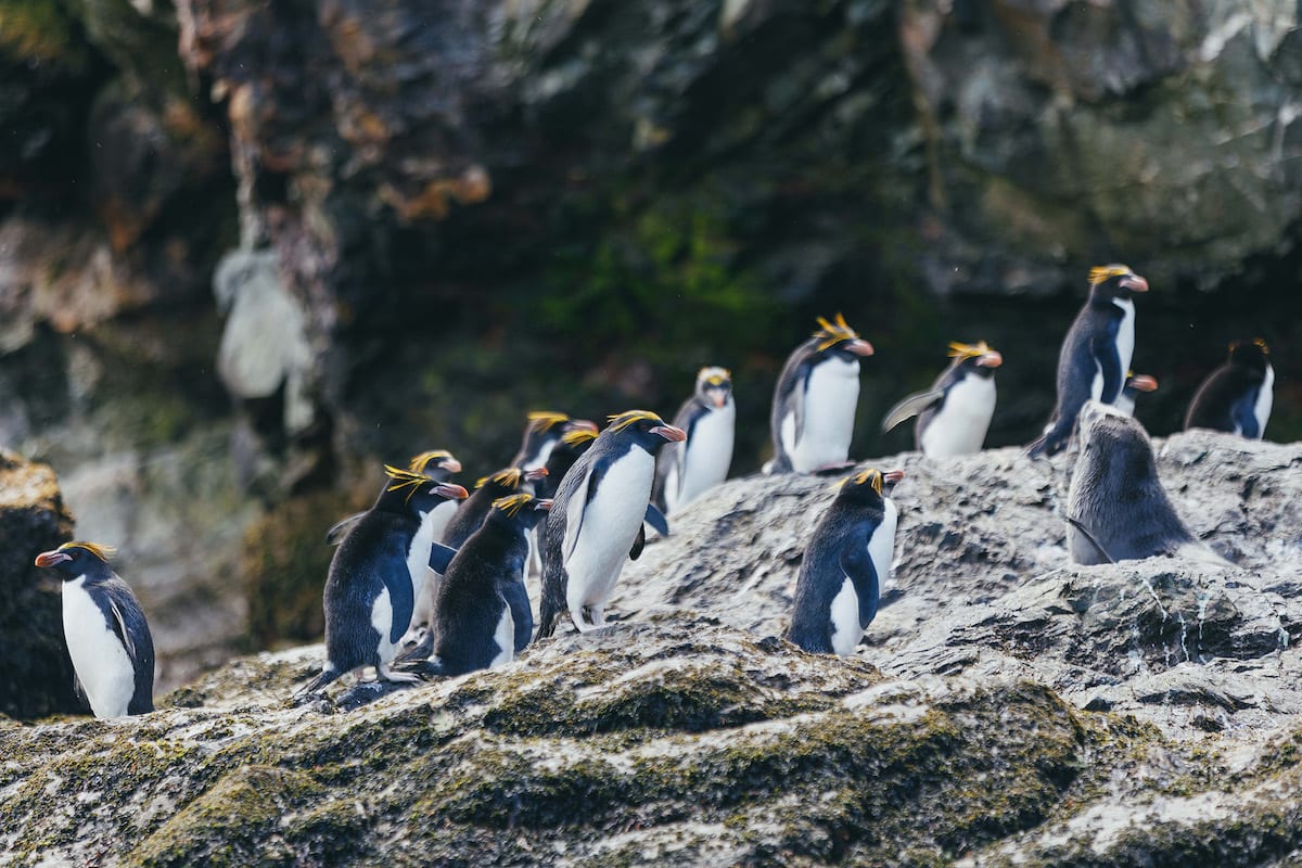 QuarkExpeditions__21A1476_DavidMerron