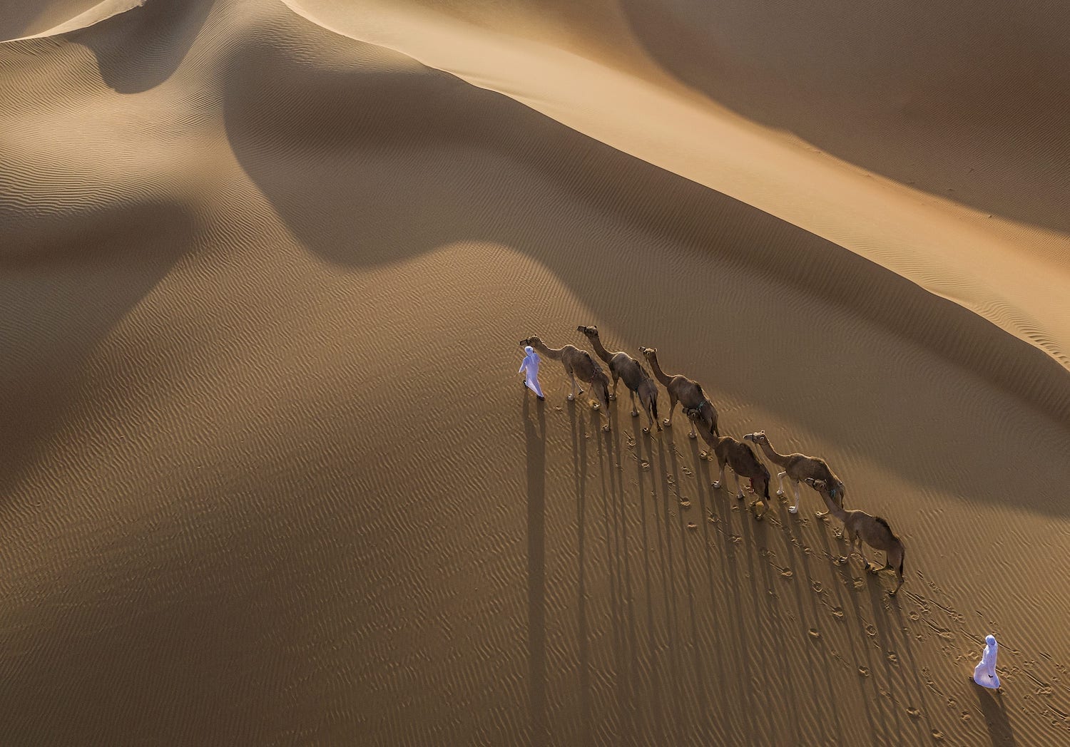 Qasr_Al_Sarab_Desert_Resort_By_Anantara_Recreation_Facility_Activities_Camel_Riding-5701x3982