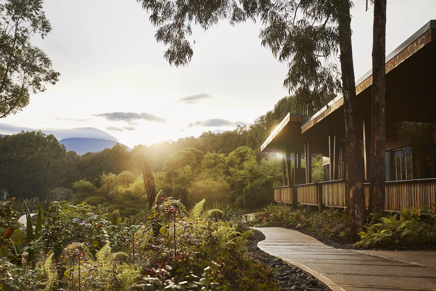 OO_GorillasNest_Exterior_Pathway_1320_MASTER