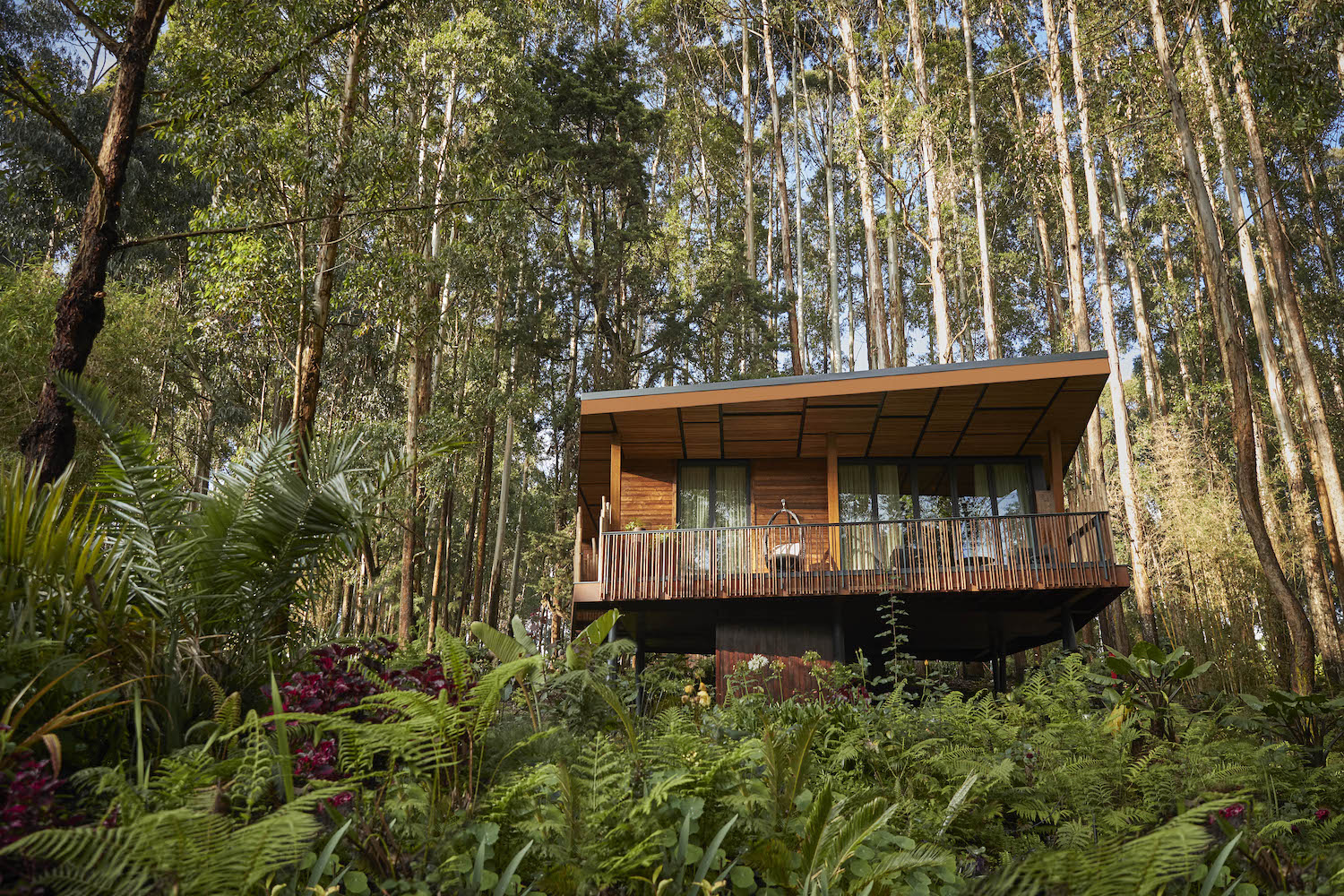 OO_GorillasNest_Exteriors_Villa_8569_MASTER