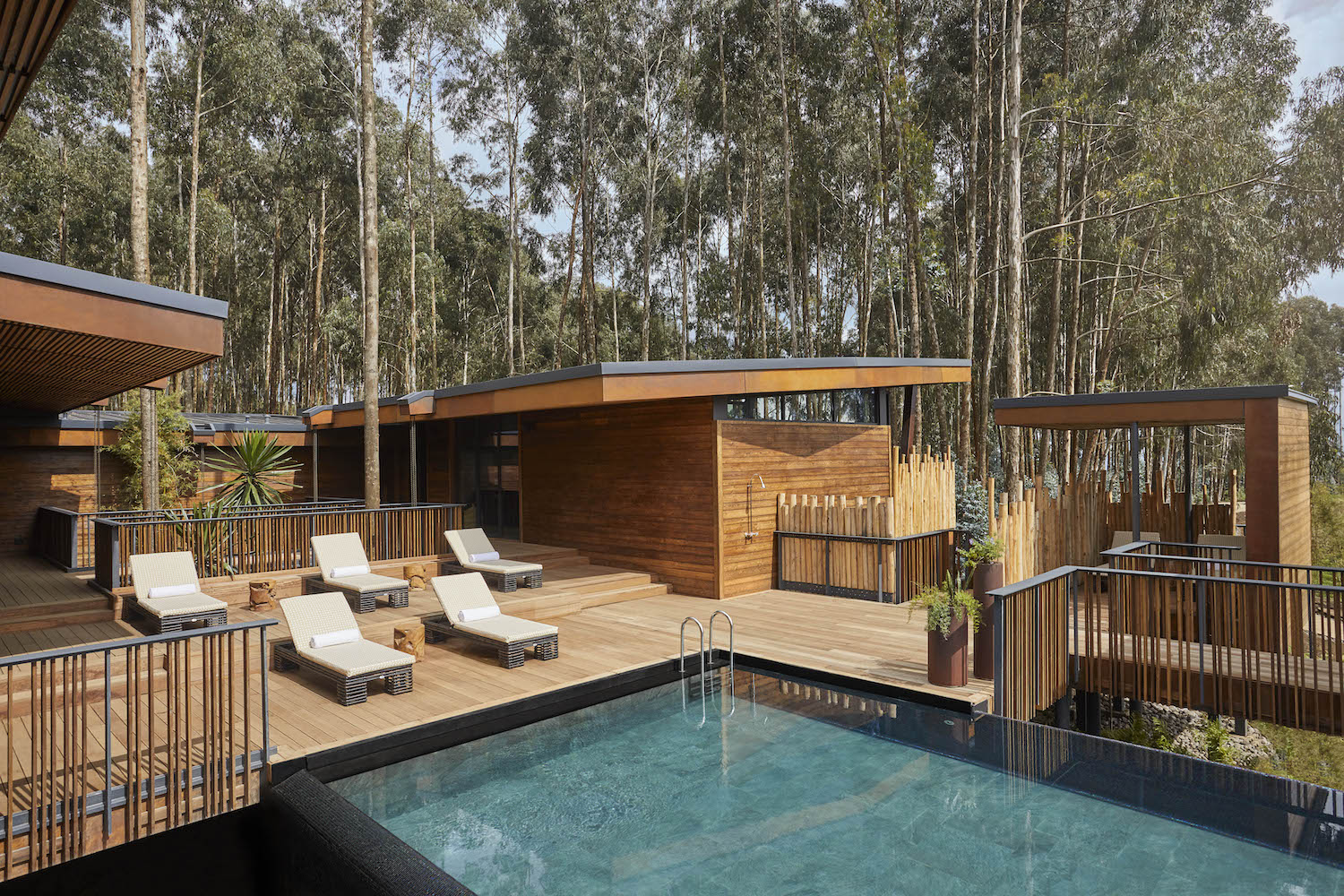 OO_GorillasNest_Pool_Pool_Wide_3117_MASTER