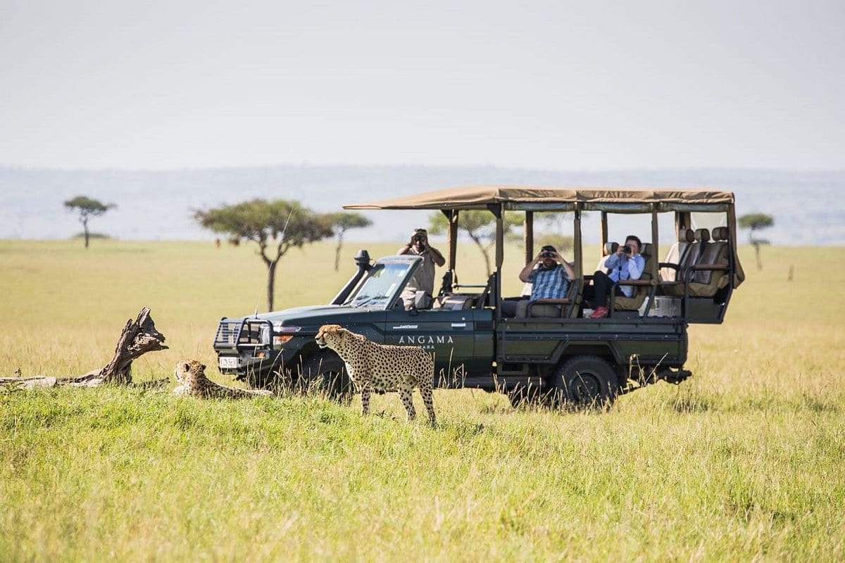 game-drives-in-the-mara